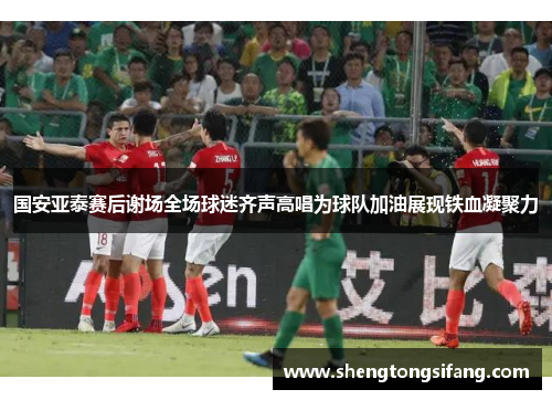 国安亚泰赛后谢场全场球迷齐声高唱为球队加油展现铁血凝聚力