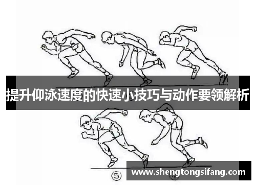 提升仰泳速度的快速小技巧与动作要领解析