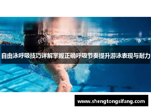 自由泳呼吸技巧详解掌握正确呼吸节奏提升游泳表现与耐力