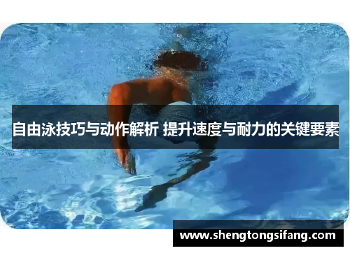 自由泳技巧与动作解析 提升速度与耐力的关键要素