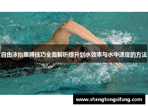 自由泳抬胳膊技巧全面解析提升划水效率与水中速度的方法